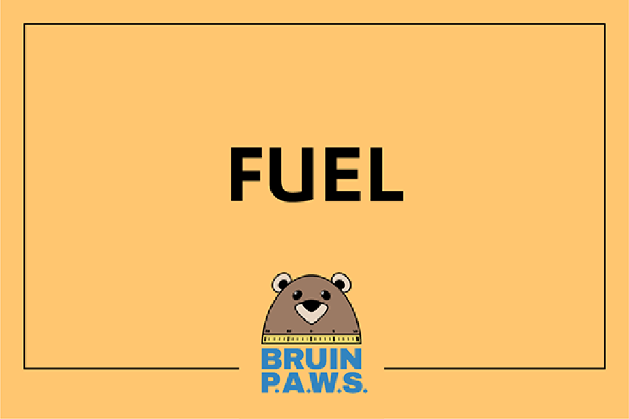 Fuel Bruin Paws card