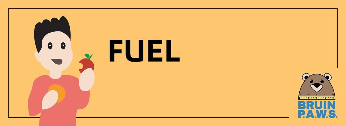 Fuel Bruin Paws banner