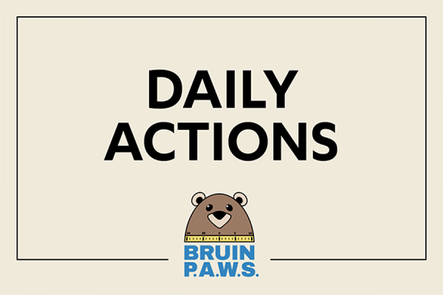 Daily Actions Bruin Paws card