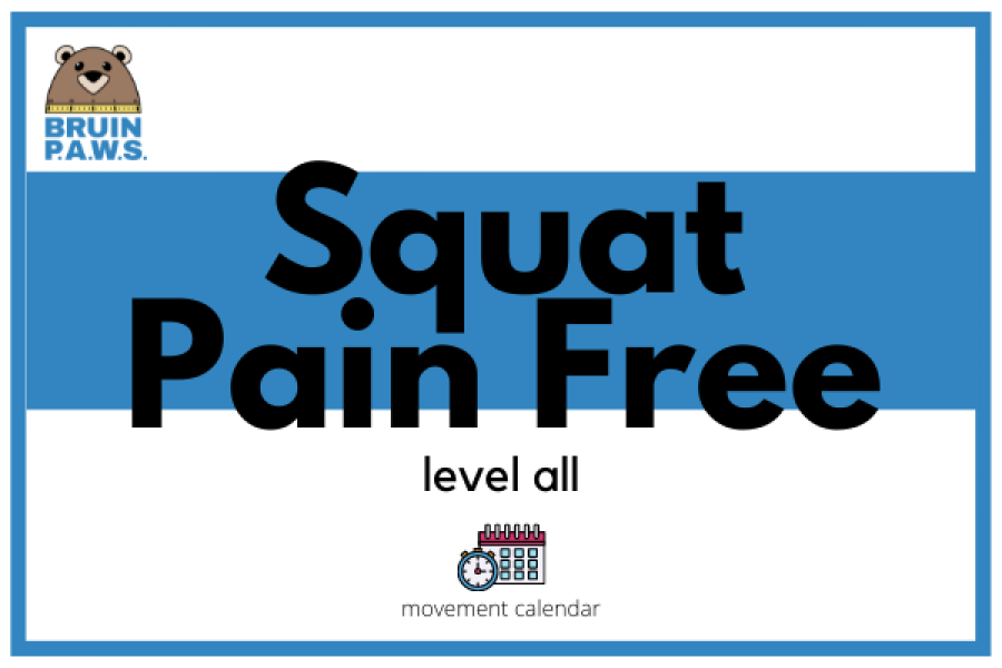 Squat Pain Free level all movement calendar